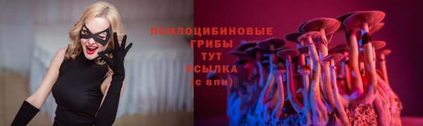 a pvp Верея