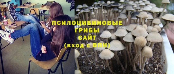 ешки Верхний Тагил