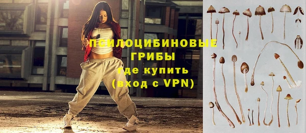 a pvp Верея