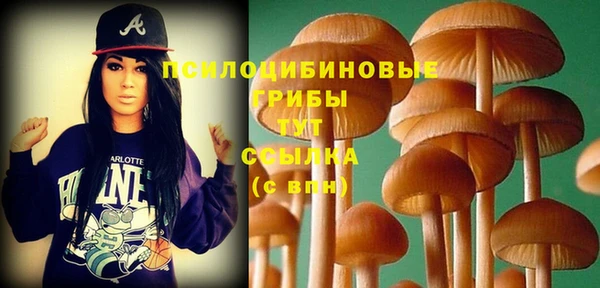 мяу мяу мука Верхнеуральск