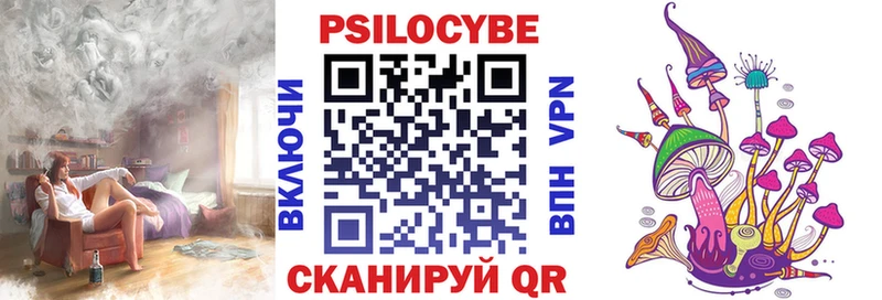 кракен маркетплейс  Грозный  Галлюциногенные грибы Magic Shrooms  купить наркотики сайты 
